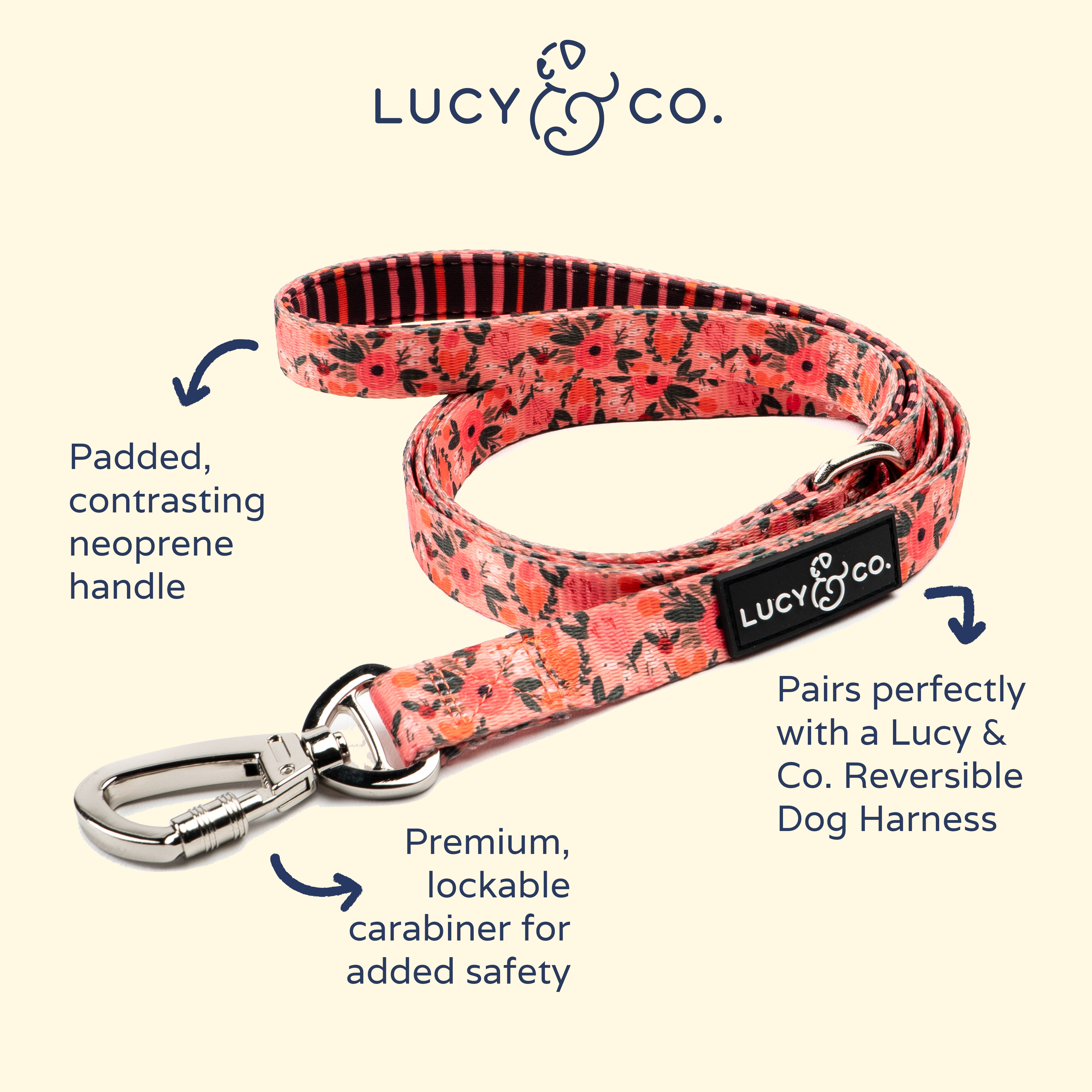 Comfortable Leash and Collar