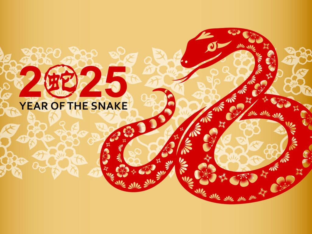 Chinese Zodiac Animals Snake: What to Expect This Year