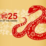 Chinese Zodiac Animals Snake: What to Expect This Year