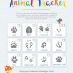 Animal Tracker 061520 1200x1553 1