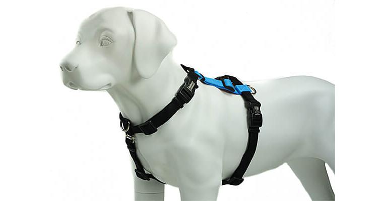 Adjustable Dog Harness