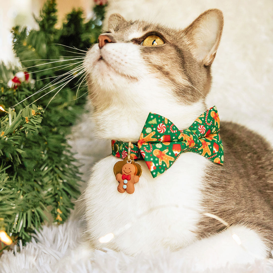 Seasonal Collar for Pet