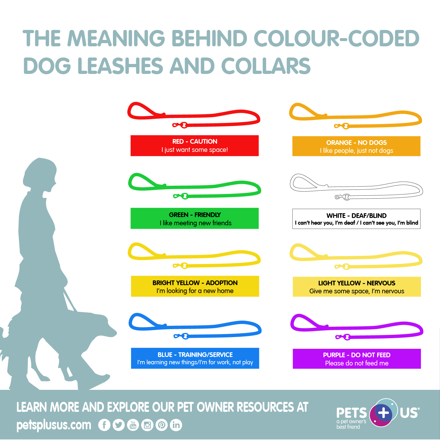 Rescue Dog with Symbolic Rope Leash