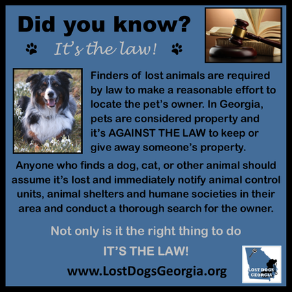Adopt, Don’t Shop