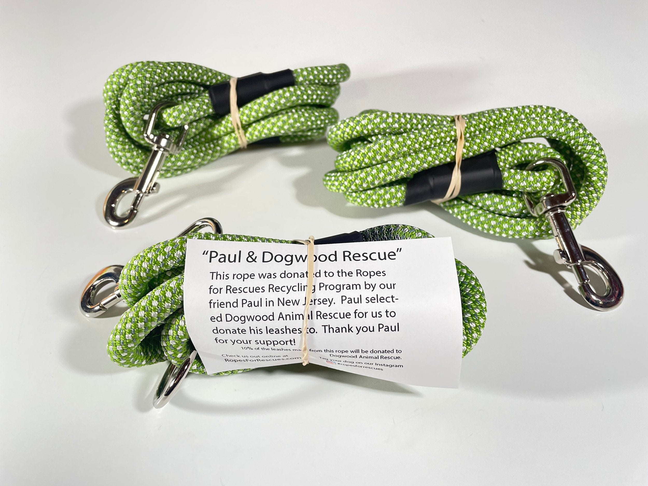 Celebrating Rescue Dogs