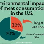 Meat Env. Impacts Slide