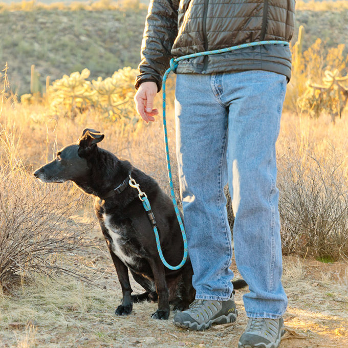 Mountain Dog Versatile Leash Dog Man