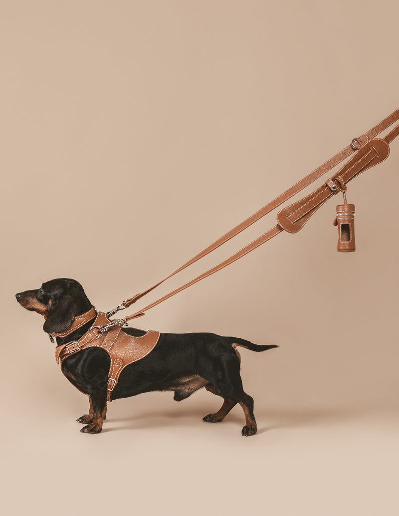 Luxury Leash Design