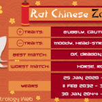 Chinese Zodiac Animal Rat: A Complete Overview