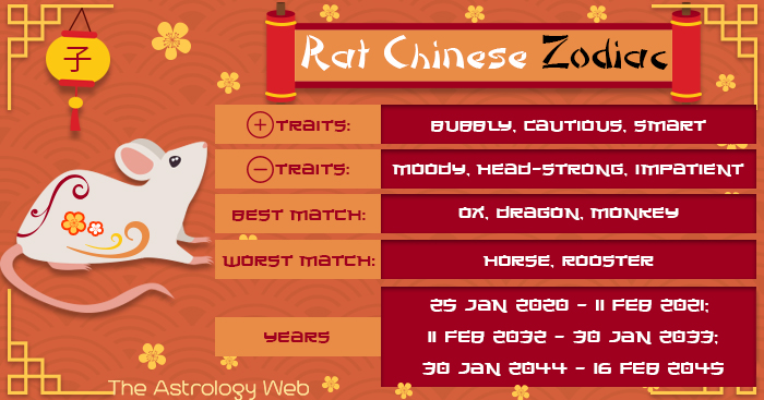 Chinese Zodiac Animal Rat: A Complete Overview