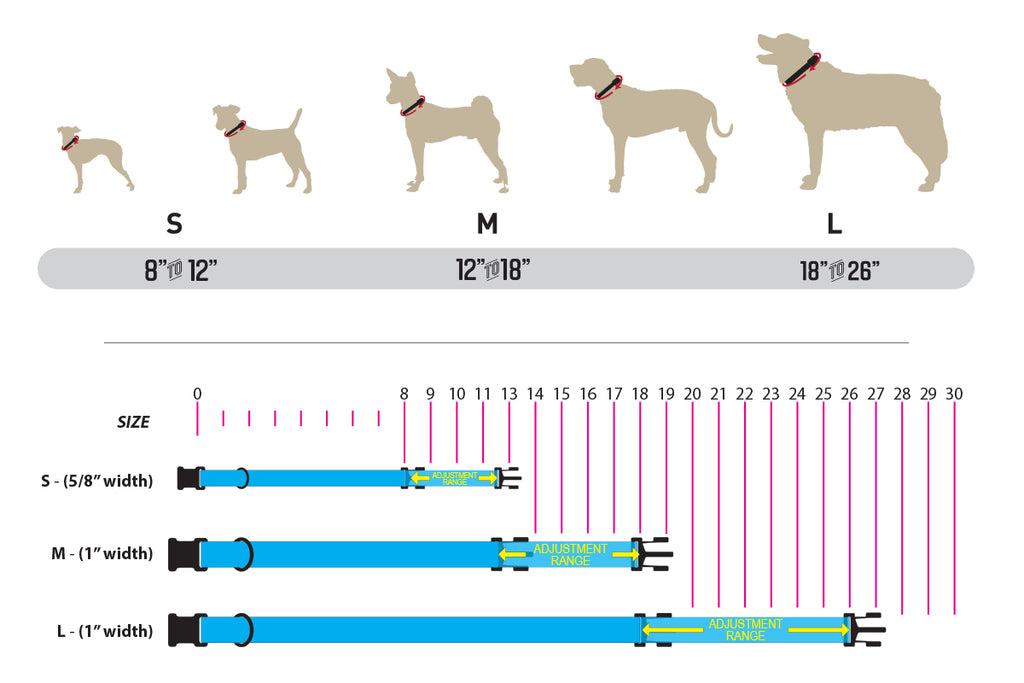 Collar Sizing Chart