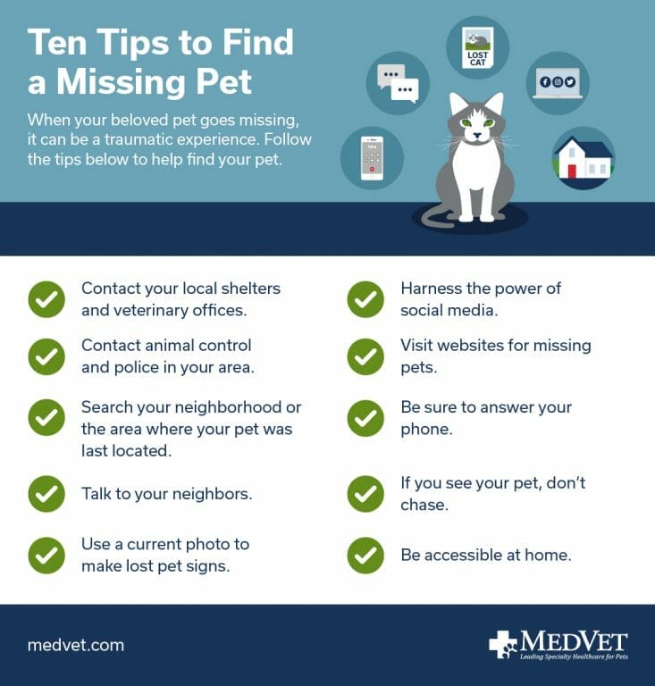 Pet Search Tips