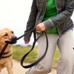 The Benefits of Adjustable Leashes for Urban Dog Owners