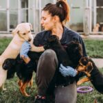 The Role of Fashion in Promoting Animal Adoption