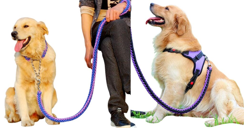 The Significance of Rope Leashes in Pet Safety