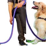 The Significance of Rope Leashes in Pet Safety