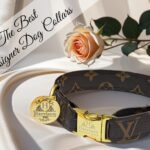 The best designer dog collars top 10 lv gucci prada 2 scaled 1