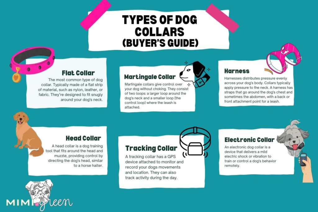 Types Of Dog Collars Blog Graphic scaled 1