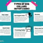 Types Of Dog Collars Blog Graphic scaled 1