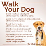 WalkYourDog meme Final v1