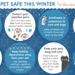 Winter Pet Safety Tips Infographic1 1