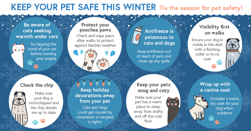 Winter Pet Safety Tips Infographic1 1