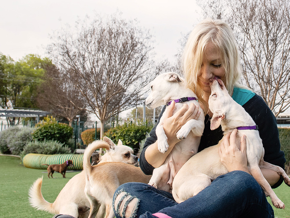 Eco-Friendly Animal Shelter
