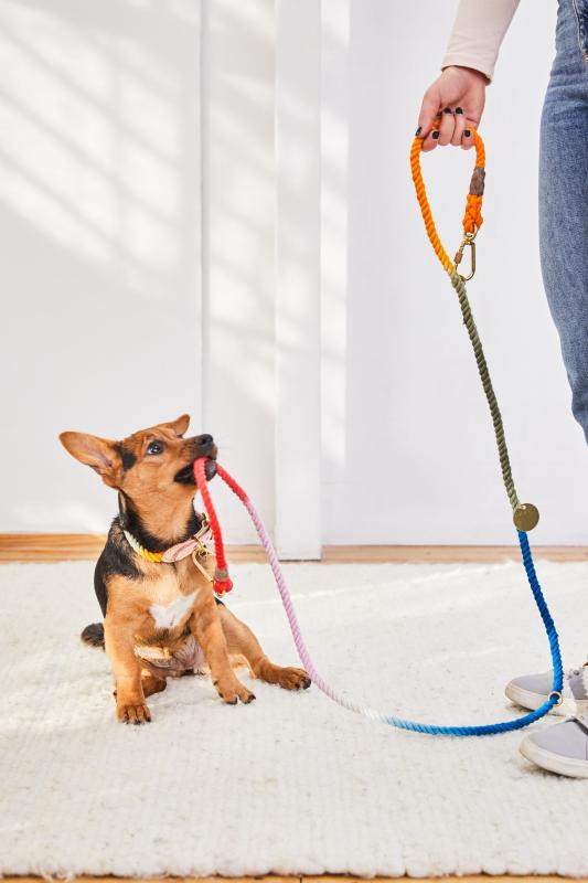 Soaking the Leash