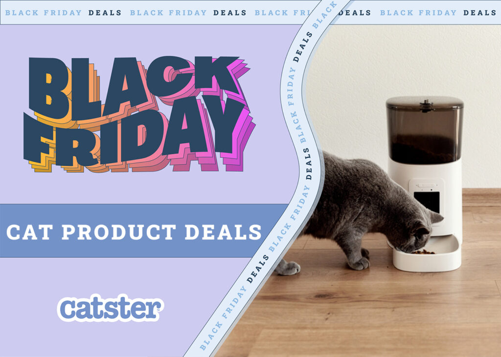 black friday cat product deals