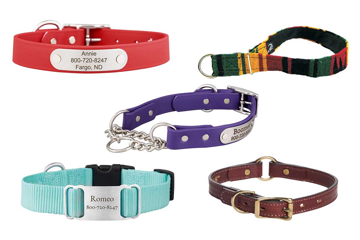 Dog Collar Types