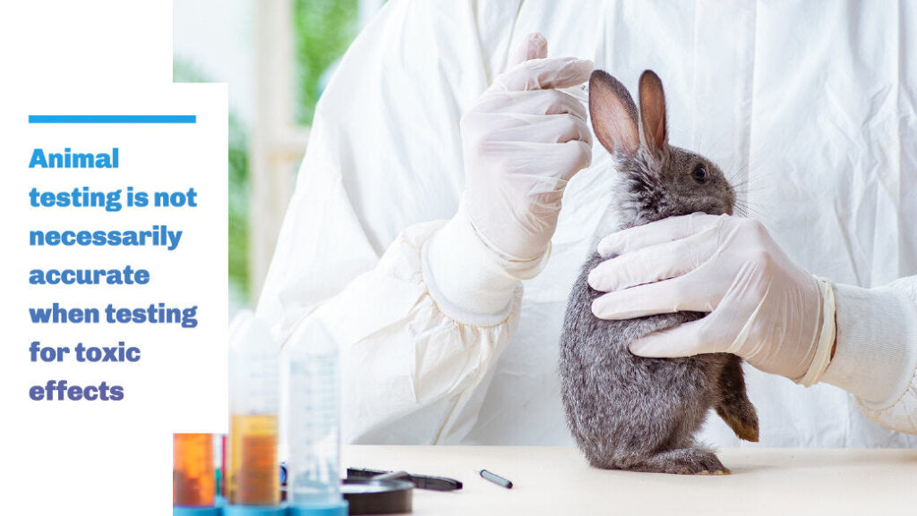 description image animal testing