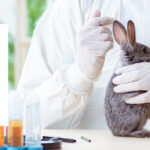 description image animal testing