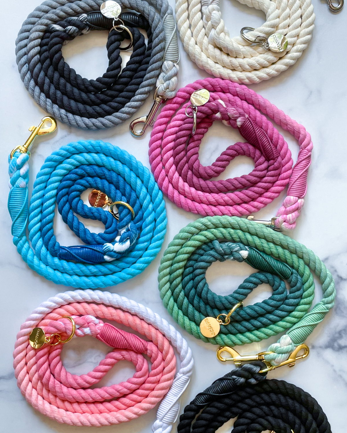 Bold Leash Colors