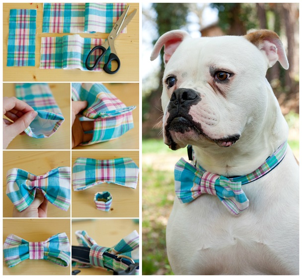 DIY Dog Collar with Bow Tie