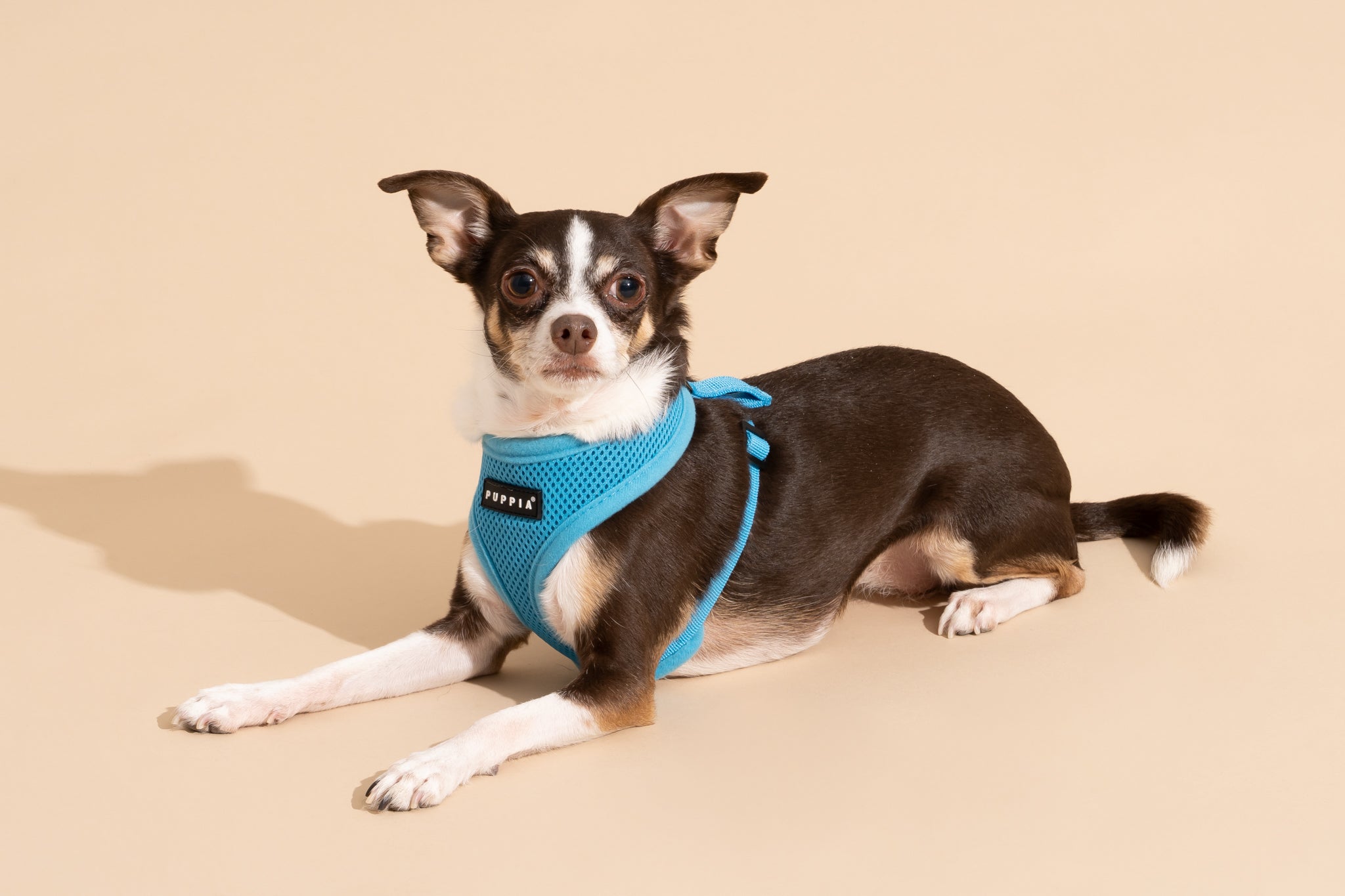 Ruffwear Front Range Dog Harness