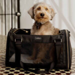 esme pet carrier 1 450x450