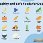 healthy and safe foods for dogs desktop