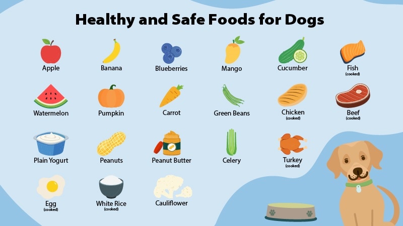 healthy and safe foods for dogs desktop