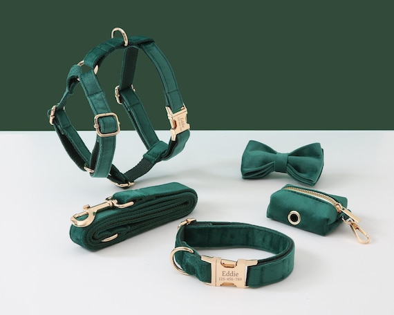 Matching Collar and Leash