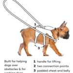 lifting harness diagram 1090x1198 1