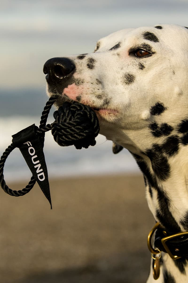 Navy Rope Leash