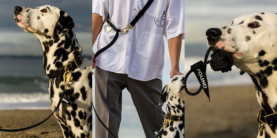 Top Found My Animal Accessories to Keep Your Dog Cozy