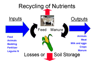 Sustainable Waste Management