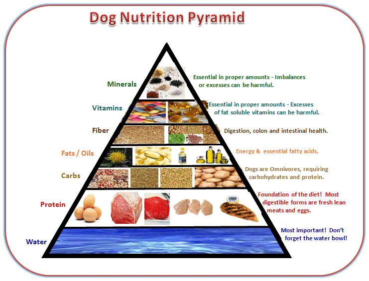 Pet Nutrition Pyramid