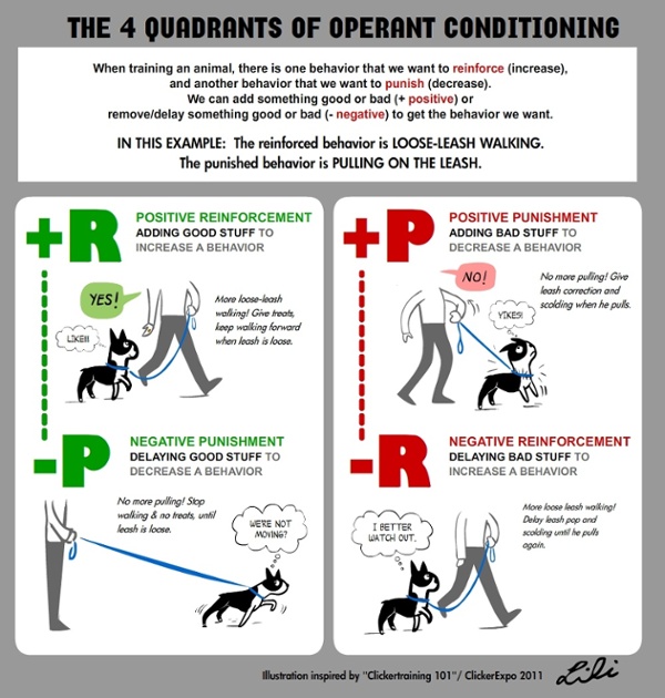 Operant Conditioning