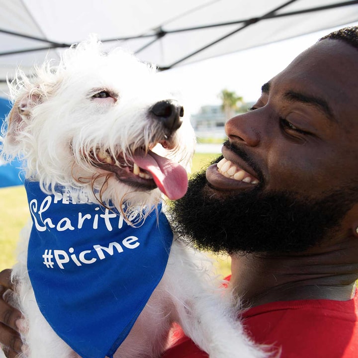 Adoption Event Success