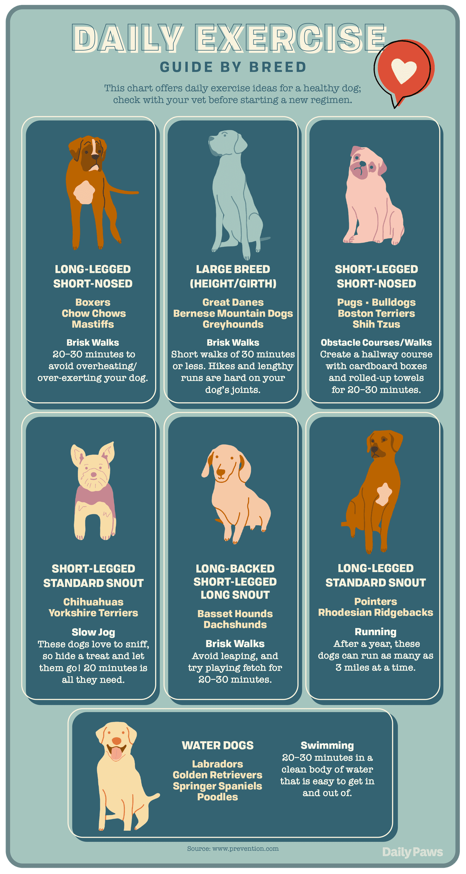 Dog Exercise Chart