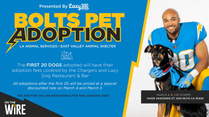 Shelter Success Story