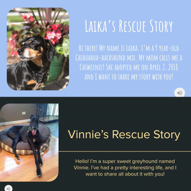 rescue stories  square