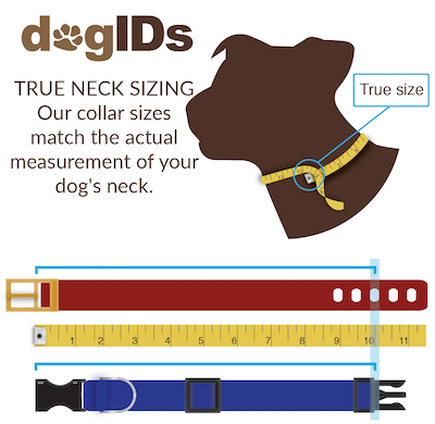 How to Measure Your Dog for the Perfect Collar Size